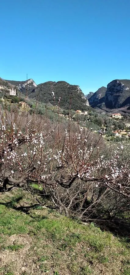 Ca Degli Ulivi Hotel Finale Ligure 0*,