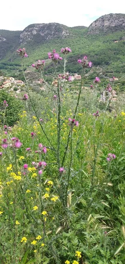 Ca Degli Ulivi Hotel Finale Ligure Italy