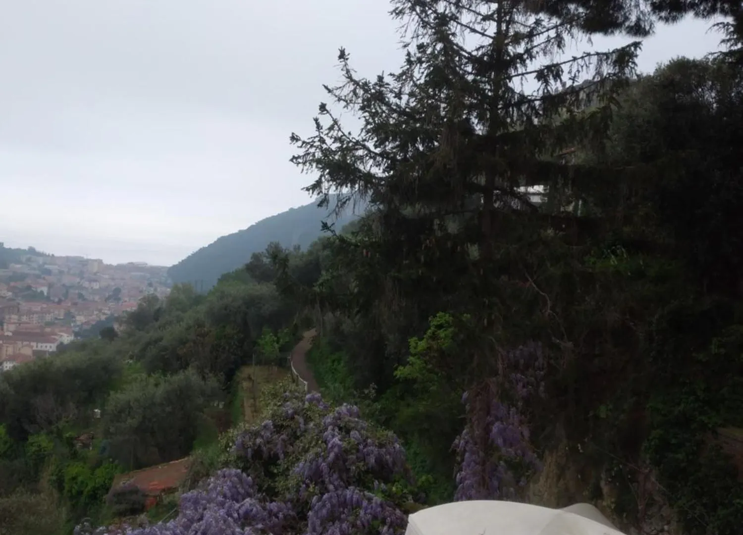 Ca Degli Ulivi Hotel Finale Ligure Guest house